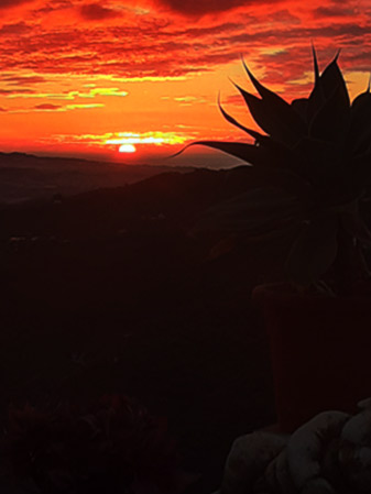 Paisaje-retiros-Eden-Garden